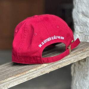 Alternative view of All in kryb him - Dad Cap